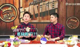 拜托了冰箱第二季在线观看,揭秘明星冰箱，畅享美食之旅