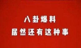 娱乐八卦爆料热词,揭秘最新八卦热词背后的秘密