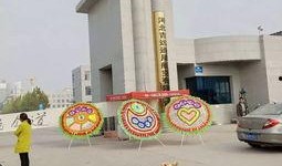 石家庄学校最新爆料,揭秘校园热点事件背后的真相