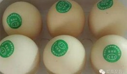 鸡蛋生产爆料视频大全,爆料视频大全深度解析