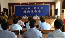 鲁山县最新爆料新闻事件,惊曝某事件背后惊人内幕