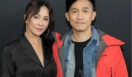 梁朝伟爆料丁克视频全集,视频全集深度解析