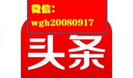 湛江头条最新爆料,重大事件引发社会关注！