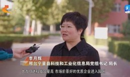 宁晋爆料新闻最新消息,揭秘某重大事件背后真相