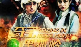 黒狐在线观看,暗网迷踪，揭秘网络世界的神秘力量