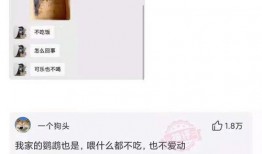 深圳网友曾女士爆料新闻,揭秘某事件背后真相