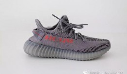 网红椰子爆料是真的吗视频