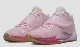 kd 14最新爆料,揭秘篮球巨星背后的秘密与未来展望