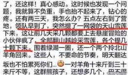 网友爆料雪莲视频,网友爆料揭示神秘事件真相