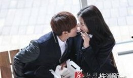 继承者电视剧在线观看,豪门恩怨，家族秘史的权力角逐