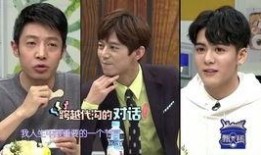 拜托了冰箱第二季在线观看,揭秘明星冰箱，畅享美食之旅