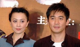 梁朝伟爆料丁克视频全集,视频全集深度解析