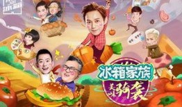 拜托了冰箱第二季在线观看,揭秘明星冰箱，畅享美食之旅