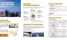 龙光城爆料最新消息,揭秘项目进展与未来规划亮点