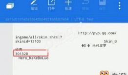 皮肤语音爆料怎么做视频,打造个性化视频教程攻略