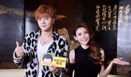 爆料罗志祥最新消息,事件真相再起波澜，娱乐圈风云再起！