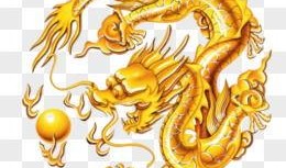 爆料五爪金龙视频大全下载,视频大全下载背后的神秘传说