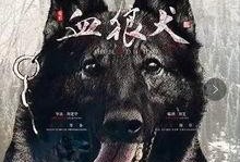 野狼在线观看,狂野追踪，热血沸腾的冒险之旅