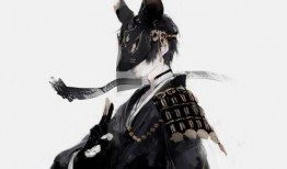 黒狐在线观看,暗网迷踪，揭秘网络世界的神秘力量