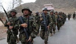 深圳阿军最新爆料,揭秘行业最新动态