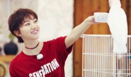 吃瓜娱乐间陈小春,吃瓜娱乐间，揭秘明星背后的故事