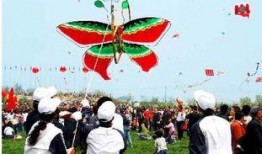 东岛风筝爆料视频大全,揭秘风筝世界的精彩瞬间