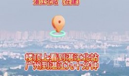 湛江头条最新爆料,重大事件引发社会关注！