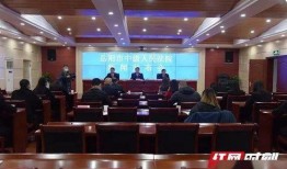 岳阳市最新爆料新闻事件,真相背后引发社会关注