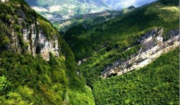 重庆奉节县爆料新闻事件,真相与影响深度解析