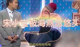 海燕爆料宋小宝视频播放,这是哪一出？
