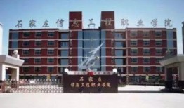 石家庄学校最新爆料,揭秘校园热点事件背后的真相