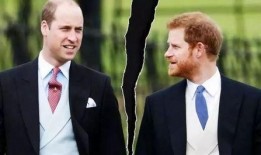 哈里最新消息爆料罗斯,揭秘罗斯的真实身份与惊人秘密