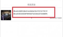 爆料视频 模板素材下载,模板素材下载背后的秘密