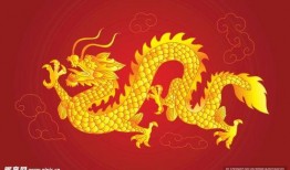 爆料五爪金龙视频大全下载,视频大全下载背后的神秘传说