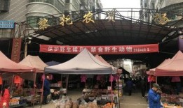 衡南黎托市场最新爆料,揭秘神秘项目背后的真相