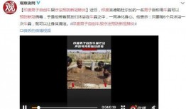 南昌奇葩爆料新闻视频下载,揭秘最新奇葩爆料视频背后的故事