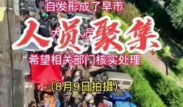 社会百态网友爆料视频下载,社会百态视频引发热议，下载观看揭示真实人间百态