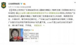 最新爆料李赢莹事件始末,揭秘背后真相与舆论风暴