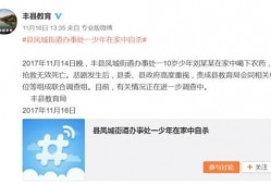 丰县微博爆料事件最新,真相与争议交织的舆论漩涡