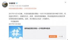 丰县微博爆料事件最新,真相与争议交织的舆论漩涡