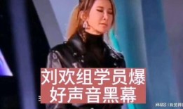 学生爆料刘欢视频大全,学生爆料背后的精彩瞬间