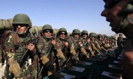 深圳阿军最新爆料,揭秘行业最新动态