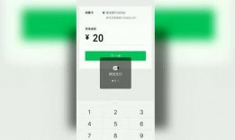 视频爆料在哪里找出来,探寻信息背后的真相