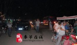 重庆奉节县爆料新闻事件,真相与影响深度解析