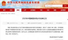 江油今日头条爆料小助手,爆料小助手揭秘最新动态，不容错过！