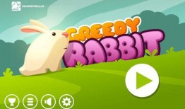 兔子的游戏在线观看,揭秘兔子的游戏在线观看的奇幻之旅