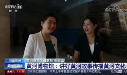 郑州爆料最新新闻事件,惊现神秘事件引发社会关注