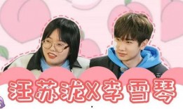 爆料明星塌房视频大全集,明星塌房视频大全集深度解析