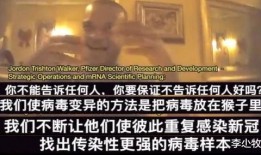 卧底爆料视频完整版,视频完整版揭露黑幕内幕