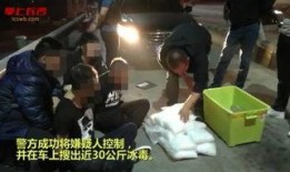 毒贩被抓爆料视频大全下载,揭秘警方抓捕行动全程纪实